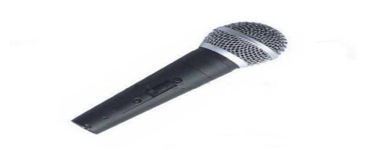 SCORE DM-58 Dinamik Mikrofon